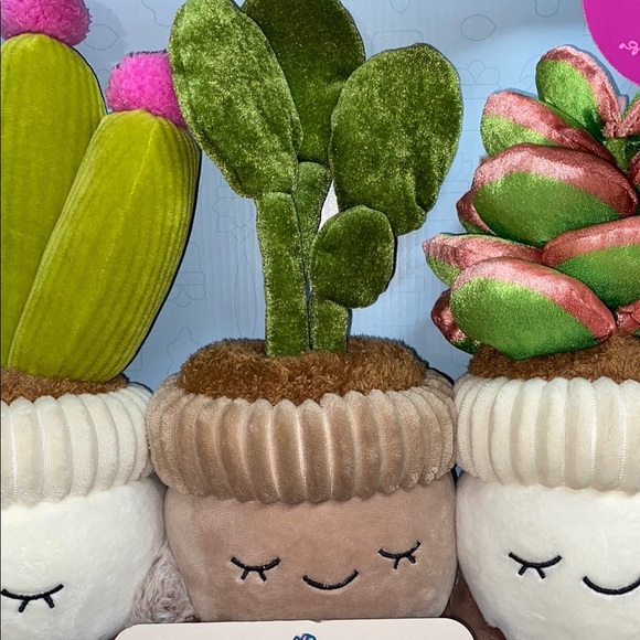 Russ greenhouse rubber tree Plush Plant - Picture 2 of 3